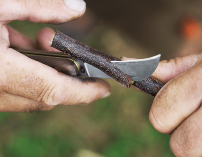 Cuțit de vaccinare FELCO 511 Grapevine