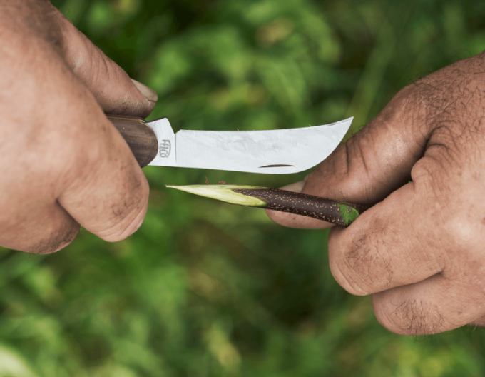 Cuțit de vaccinare FELCO 511 Grapevine