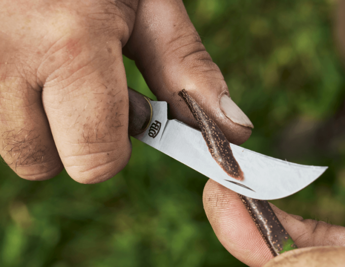 Cuțit de vaccinare FELCO 511 Grapevine