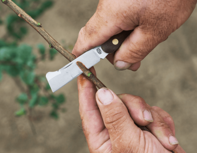 FELCO 512 Cuțit de altoit