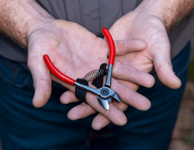 FELCO 330 Foarfece pentru fructe