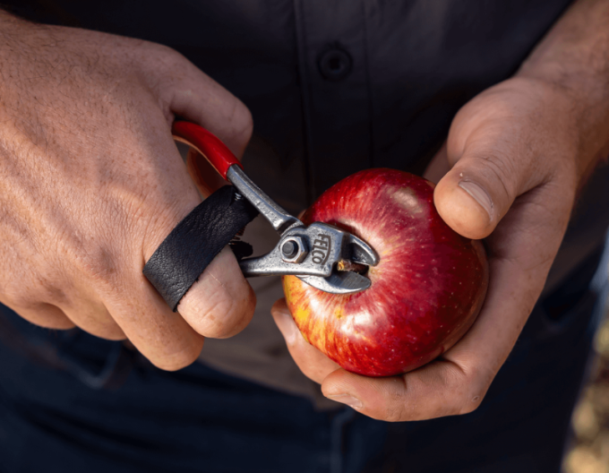 FELCO 330 Foarfece pentru fructe