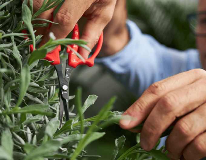 FELCO 420 Foarfece de tăiat de precizie