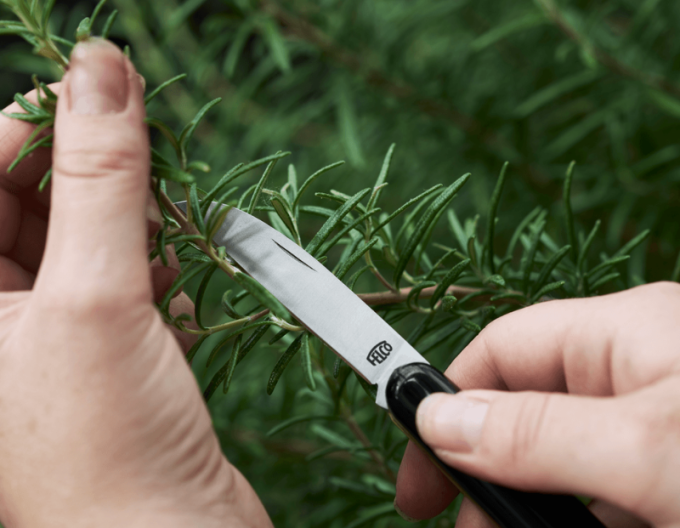 FELCO 520 Cuțit florărie