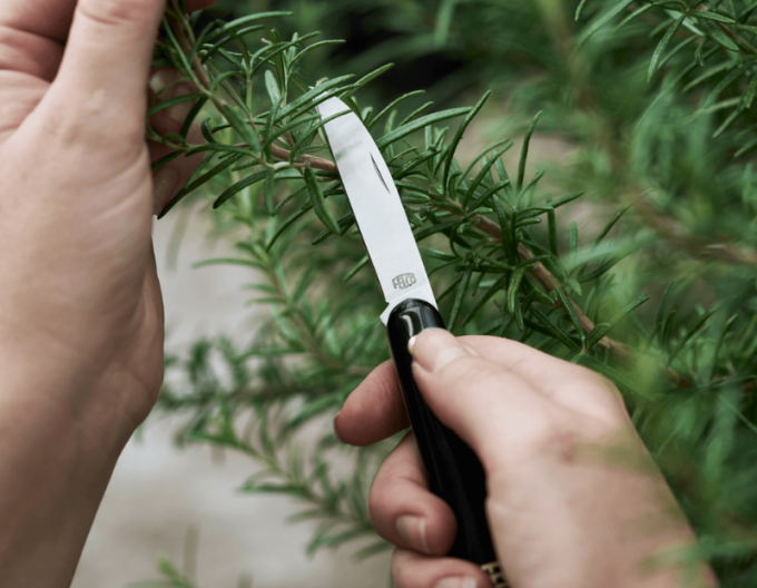 FELCO 520 Cuțit florărie