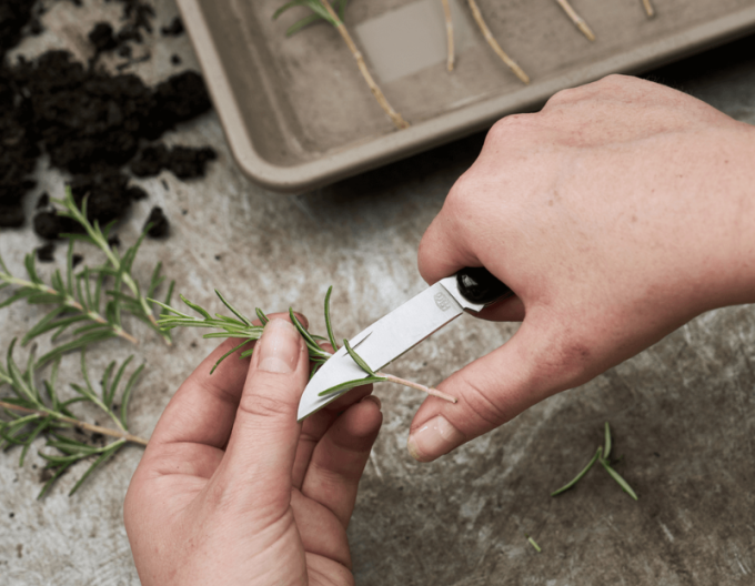 FELCO 520 Cuțit florărie