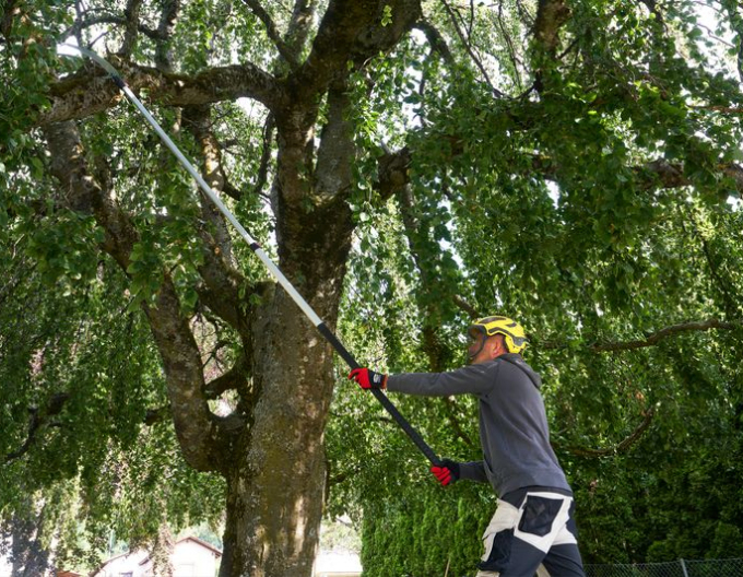 Ferăstrău telescopic FELCO 648