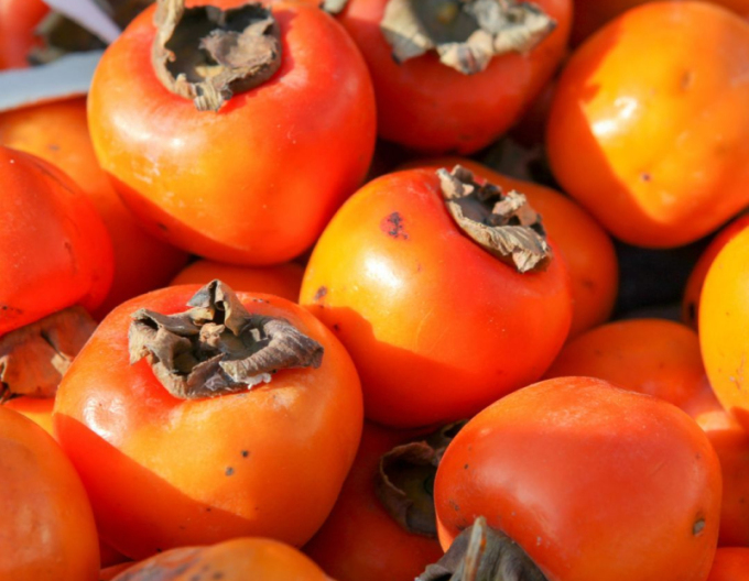 Hurmikaki ’Tipo’ – pe tulpină 9l