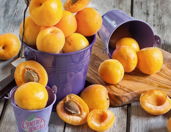 Caise "Karola" târziu