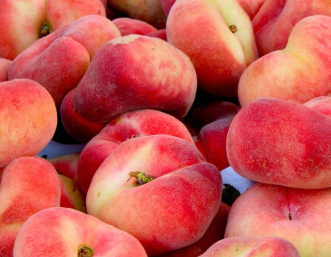 Piersic "Sandwich gelb" timpuriu