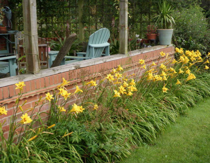 Crin de o zii  Bonanza