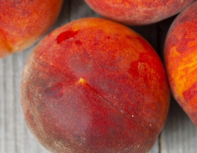 Piersic târziu Suncrest, sub. GF677, cont.5l