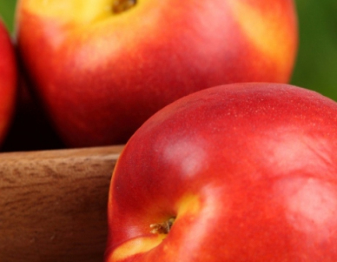 Nectarine ´Stark Red Gold´ târziu, sub. FG677, cont. 5l