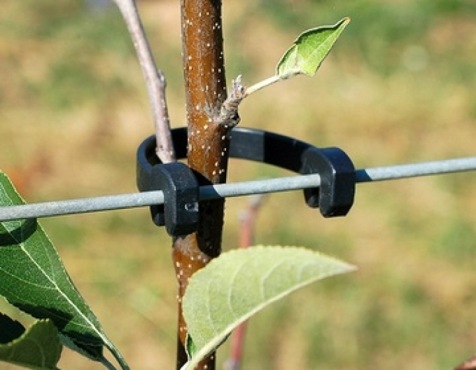 Bandă flexibilă STAMMHALTER cu lungimea de 125 mm