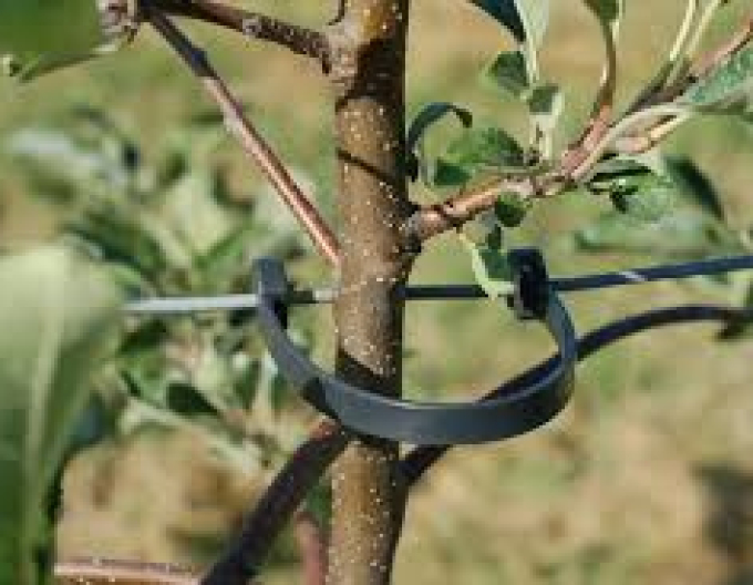 Bandă flexibilă STAMMHALTER cu lungimea de 125 mm