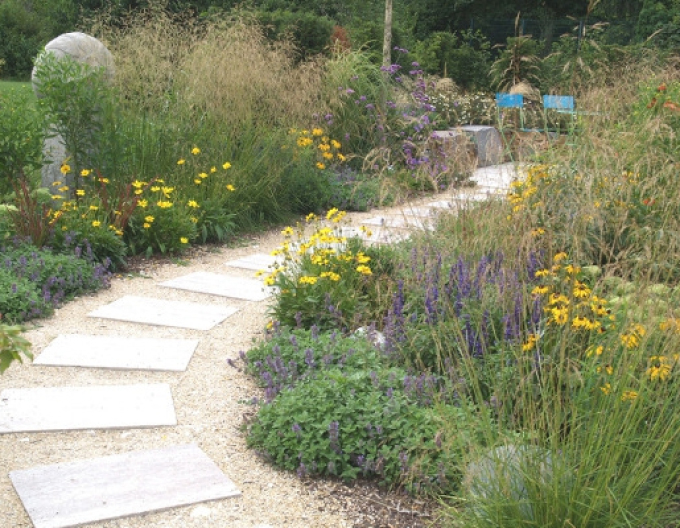 Deschampsia  ´Goldschleier´ 9x9