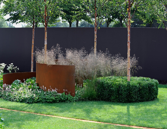 Deschampsia  ´Goldschleier´ 9x9