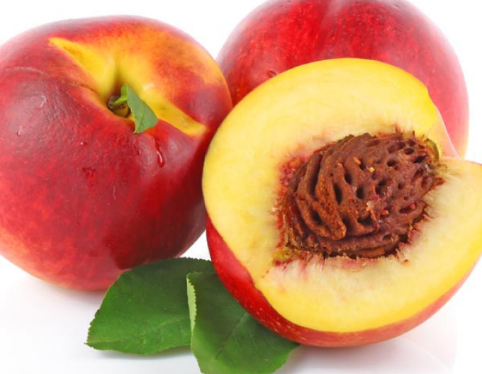 Nectarina ´Fantasia´ târzie, portaltoi GF677, rădăcină liberă