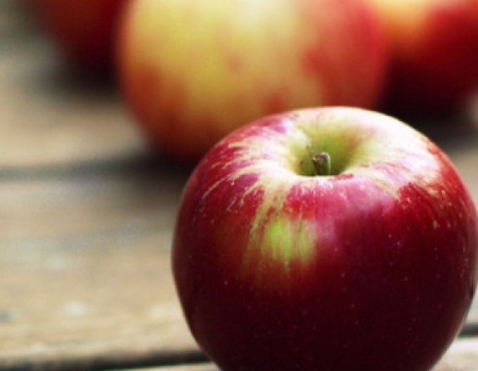 Măr ´Gala´ iarnă, portaltoi MM106, rădăcină liberă