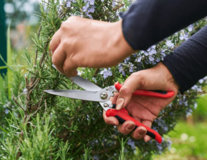 FELCO 456 Foarfecă universală