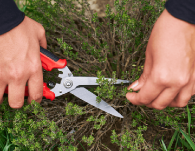 FELCO 456 Foarfecă universală