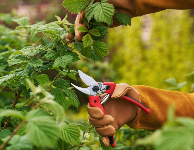 Foarfece FELCO 171M + polizor FELCO 902