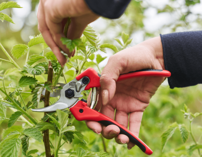 Foarfece FELCO 171M + polizor FELCO 902