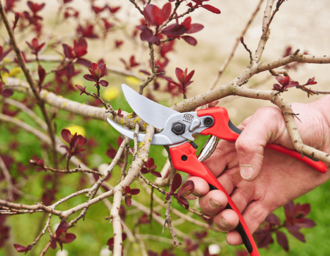 FELCO 171L Foarfece + FELCO 902 polizor