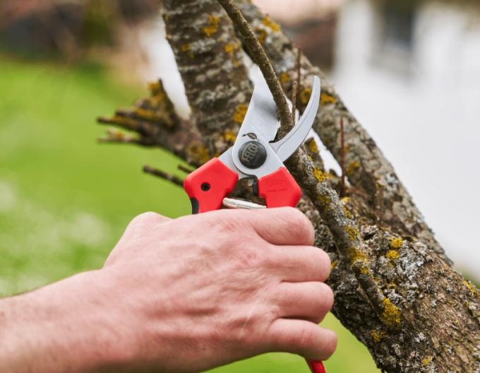 FELCO 171L Foarfece + FELCO 902 polizor