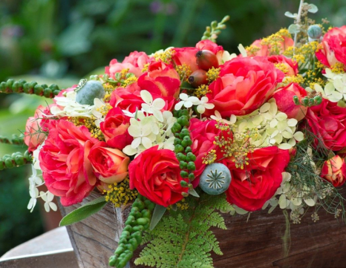 Trandafir ´Gebrüder Grimm´