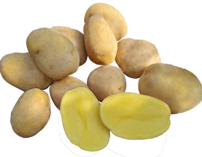 Cartofi de sămânță ´Wendy´ 5kg