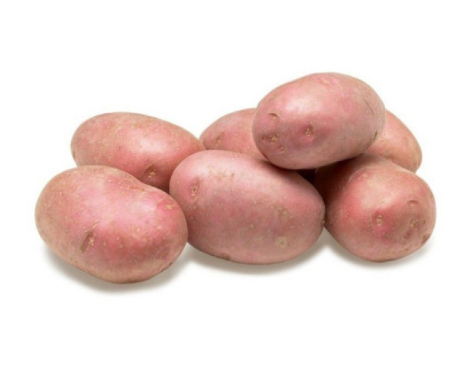 Cartofi de sămânță ´Memphis´ 5kg