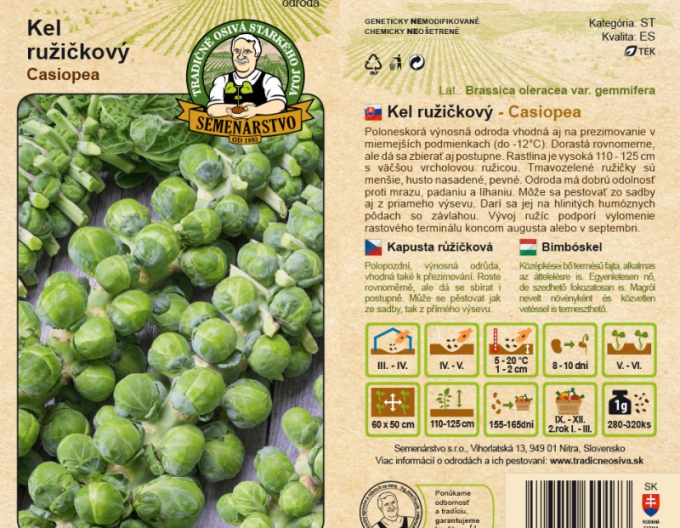 Varză creață  Casiopea