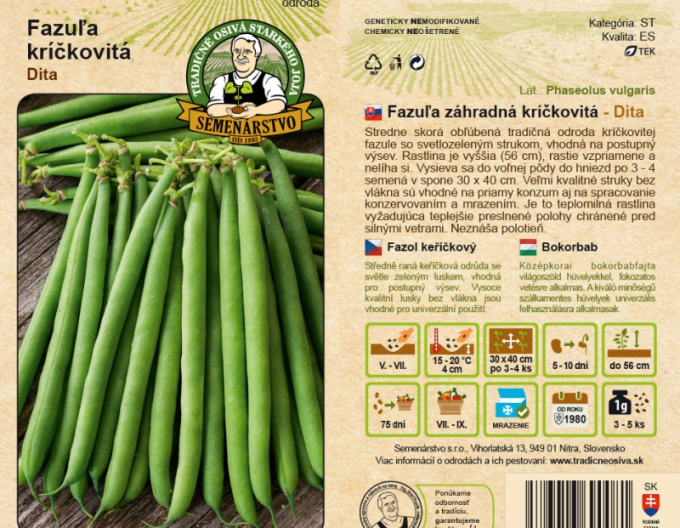 Fasole pitică ´Dita´