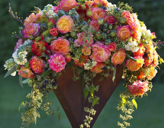 Trandafir Gartenspass