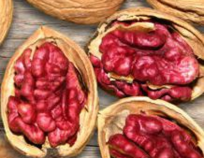 Nuc cu fructe roșii