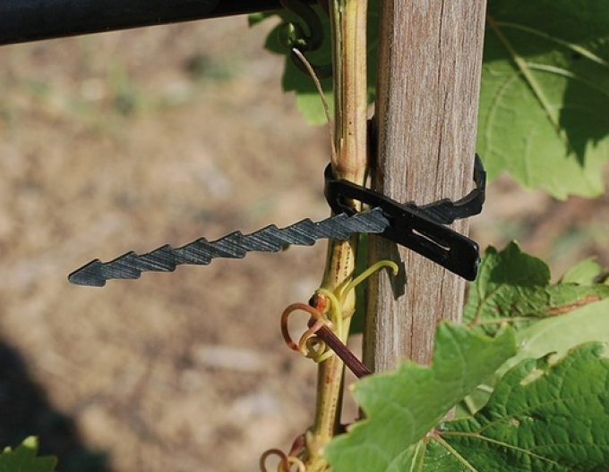 Pansament pentru copaci 180mm