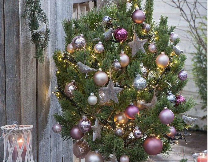 Pin negru 60/80cm, cont.