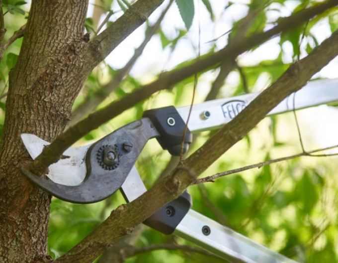 FELCO 211 - 60 Foarfece de crengi cu două mânere