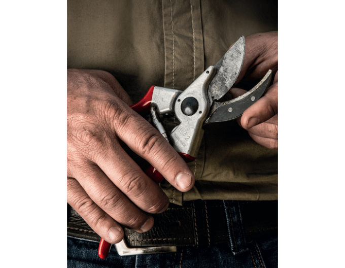 Foarfece de grădină FELCO 2