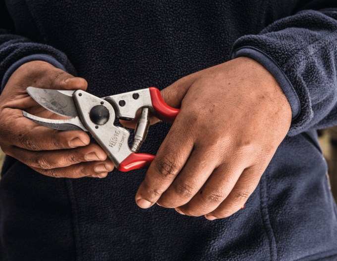 FELCO 16 Foarfece de grădină pentru stângaci