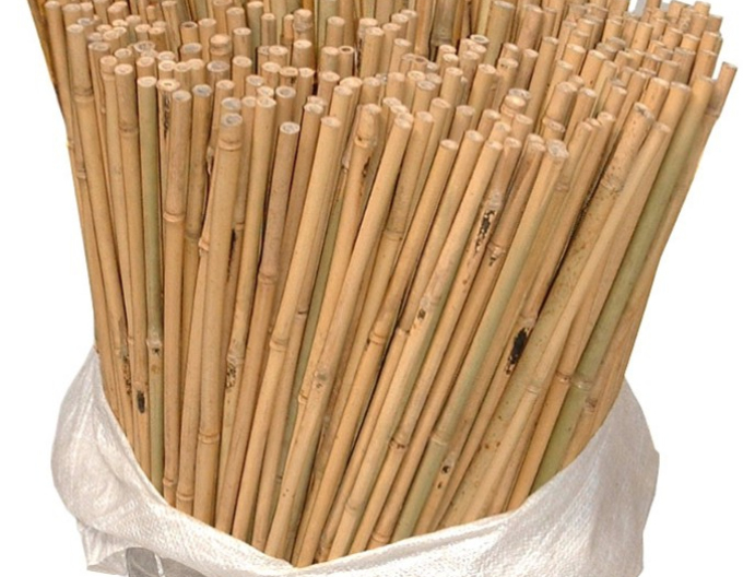 Stâlp de bambus 60 cm