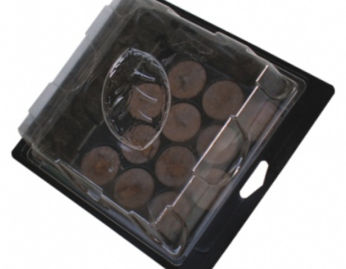 Grunt - Parenisko cu tablete de turbă 12pcs