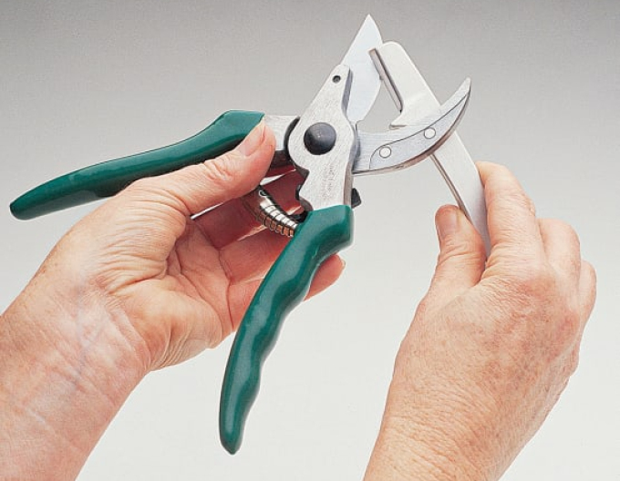 Ascuțitoare elvețiană Polizor