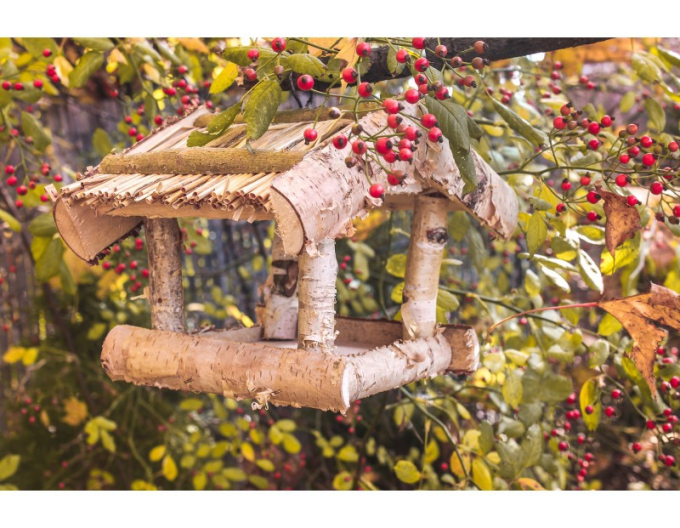 Hrănitor de păsări nr.2