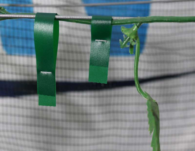 MAX Tape- material de bandaj pentru cleștii MAX HTR