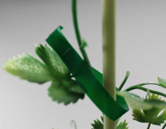 Cleme pentru clești de bandajat