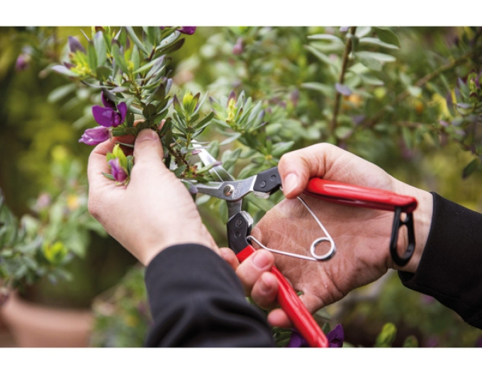 FELCO 322 Foarfece de recoltat