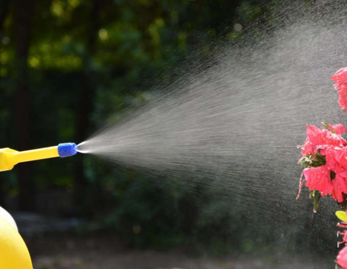 Pulverizator cu presiune Thema 2l